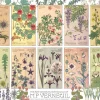 Cobble Hill - Botanicals by Verneuil - 1000 Piece Jigsaw Puzzle Hot