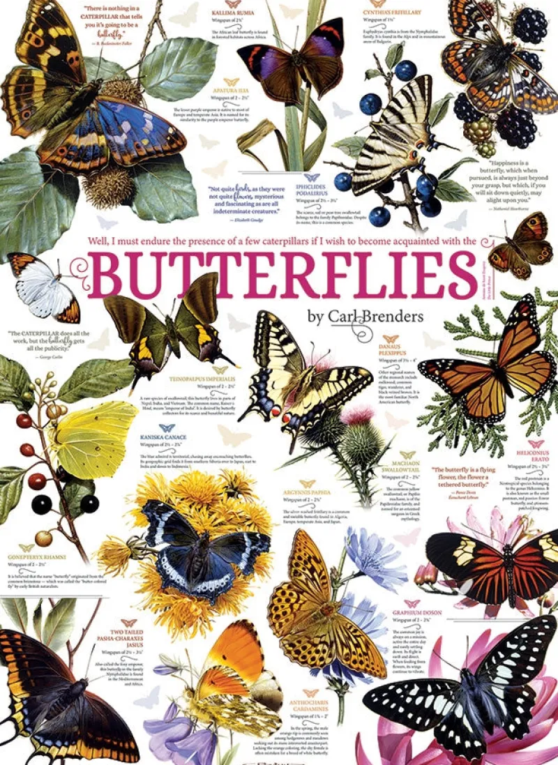 Cobble Hill - Butterfly Collection - 1000 Piece Jigsaw Puzzle Clearance