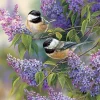 Cobble Hill - Chickadees and Lilacs - 1000 Piece Jigsaw Puzzle Discount