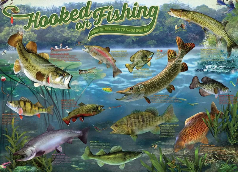 Cobble Hill - Hooked on Fishing - 1000 Piece Jigsaw Puzzle Clearance