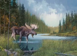 Cobble Hill - Moose Lake - 1000 Piece Jigsaw Puzzle Sale