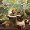 Cobble Hill - Terrarium Cat - 1000 Piece Jigsaw Puzzle Best