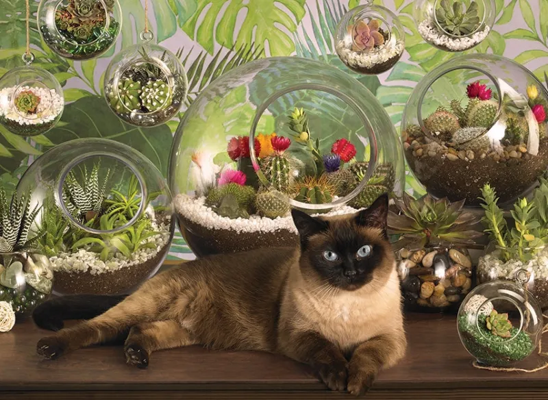 Cobble Hill - Terrarium Cat - 1000 Piece Jigsaw Puzzle Best