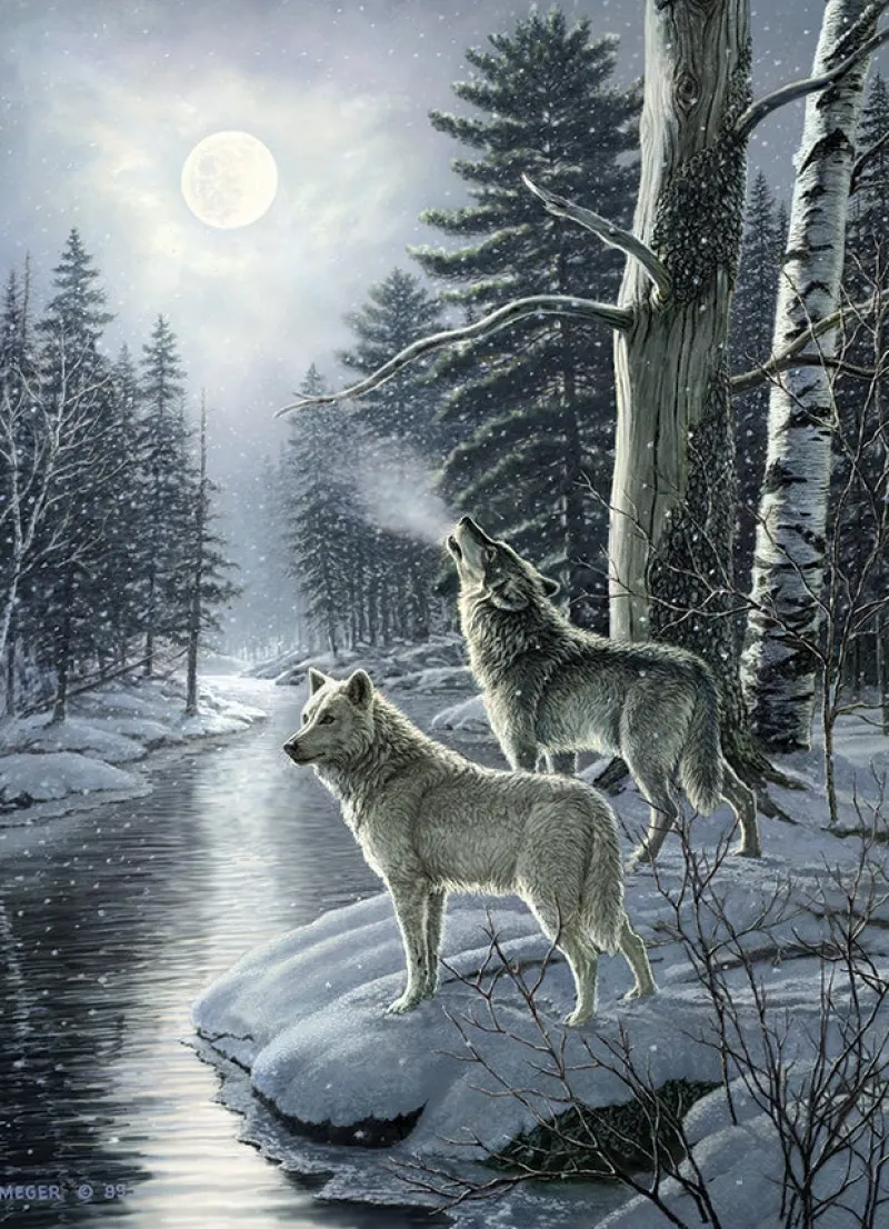 Cobble Hill - Wolves by Moonlight - 1000 Piece Jigsaw Puzzle Sale