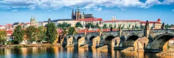 Dino - Prague, Czech Republic - 1000 Piece Jigsaw Puzzle Hot