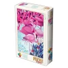 Dtoys - Andrea Kürti: Tropical 1000 piece jigsaw puzzle Clearance