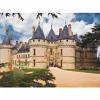 Dtoys - Castles of France : Château de Chaumont 1000 piece jigsaw puzzle Clearance