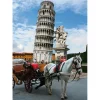 Dtoys - Famous Places : Pisa Tower, Italy - 1000 Piece Jigsaw Puzzle New