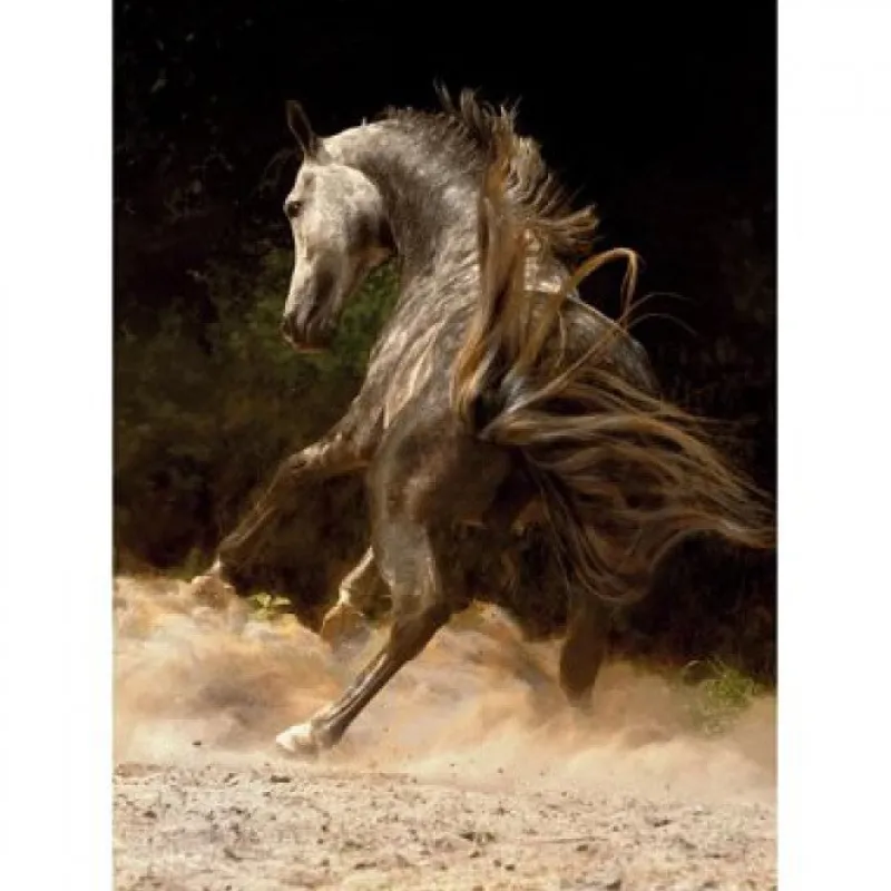 Dtoys - Horses : Horse in the Dust - 1000 Piece Jigsaw Puzzle Hot