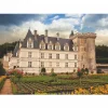 Dtoys - Jigsaw Puzzle - Château de Villandry - 1000 Piece Jigsaw Puzzle Sale