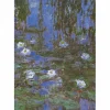 Dtoys - Monet : Water Lilies - 1000 Piece Jigsaw Puzzle Hot