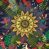 Deico Games Dtoys - Nature Collection - Tropical - 1000 Piece Jigsaw Puzzle Clearance