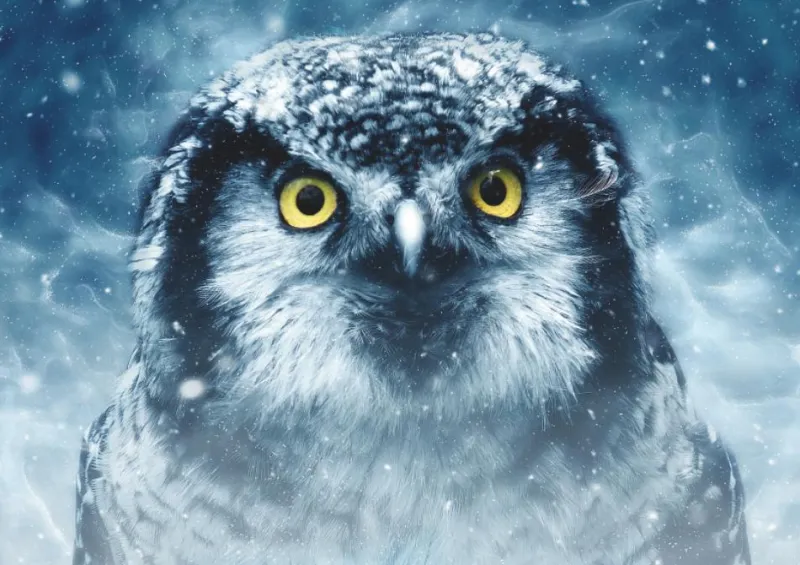 Deico Games Dtoys - Owl - 1000 Piece Jigsaw Puzzle Sale