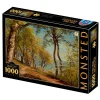 Dtoys - Peder Mørk Mønsted - Birch Trees at a Coast - 1000 Piece Jigsaw Puzzle Hot