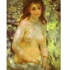 Dtoys - Renoir : Naked in the Sun - 1000 Piece Jigsaw Puzzle Outlet