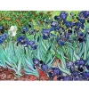 Dtoys - Van Gogh : Iris - 1000 Piece Jigsaw Puzzle Clearance