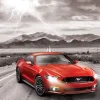 Eurographics - 2015 Ford Mustang GT Fifty Years of Power - 1000 Piece Jigsaw Puzzle Best