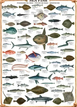 Eurographics - Sea Fish - 1000 Piece Jigsaw Puzzle Outlet