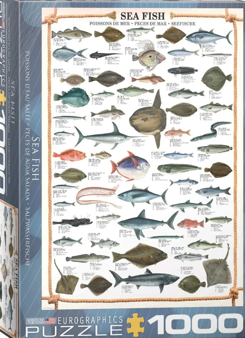 Eurographics - Sea Fish - 1000 Piece Jigsaw Puzzle Outlet