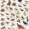 Eurographics - Birds - 1000 Piece Jigsaw Puzzle Sale