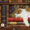 Eurographics - Cat Nap Tin - 1000 Piece Jigsaw Puzzle Fashion