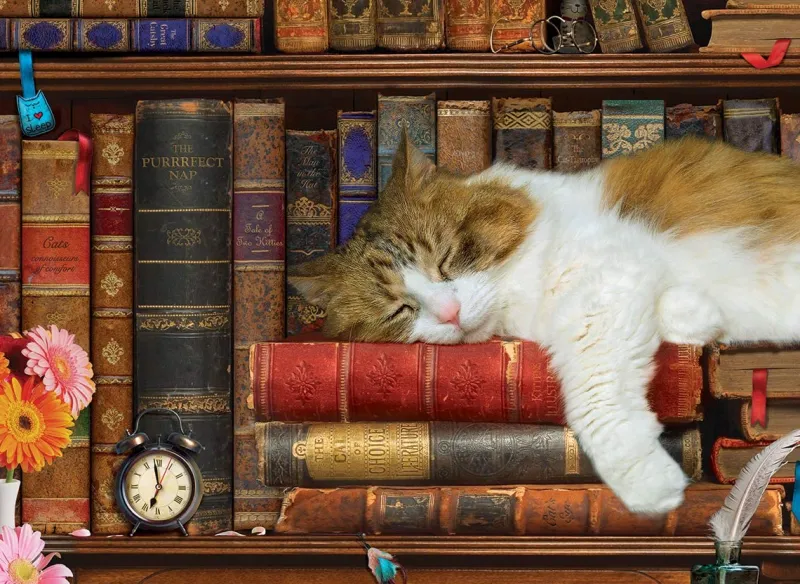 Eurographics - Cat Nap Tin - 1000 Piece Jigsaw Puzzle Fashion