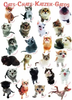 Eurographics 6000-1511 Classic Cats Jigsaw Puzzle Clearance