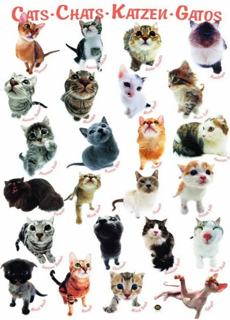 Eurographics 6000-1511 Classic Cats Jigsaw Puzzle Clearance