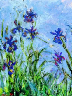 Eurographics - Claude Monet: Irises (Detail) - 1000 piece jigsaw puzzle Clearance