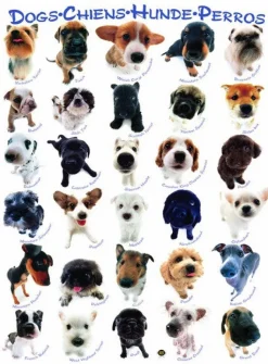 Eurographics 6000-1510 Dogs - 1000 Piece Jigsaw Puzzle Fashion