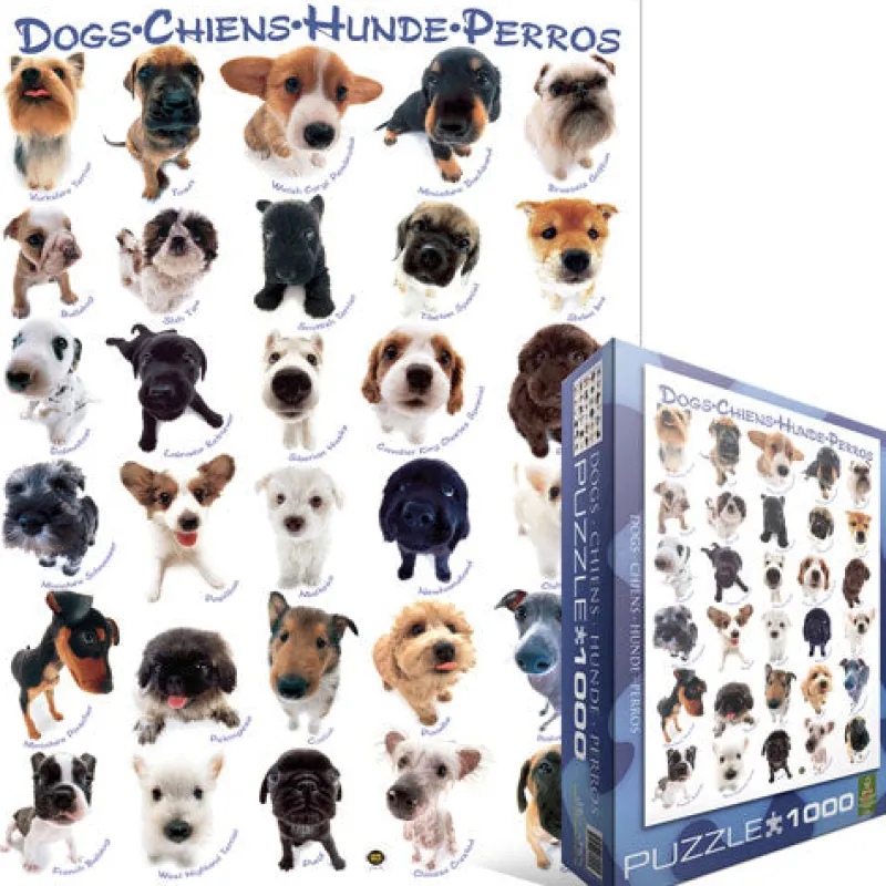 Eurographics 6000-1510 Dogs - 1000 Piece Jigsaw Puzzle Fashion