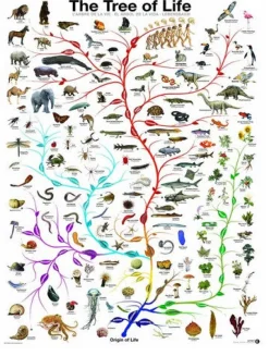 Eurographics - Evolution - The Tree of Life - 1000 Piece Jigsaw Puzzle Hot