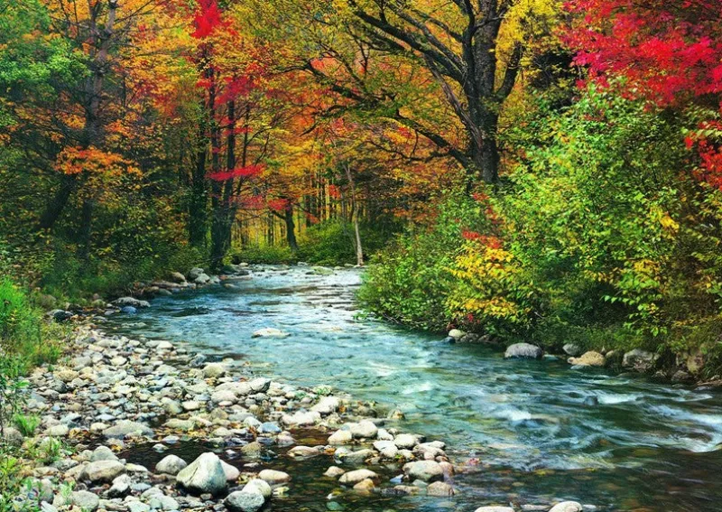 Eurographics - Forest Stream - 1000 Piece Jigsaw Puzzle Best