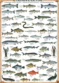 Eurographics - Freshwater Fish - 1000 Piece Jigsaw Puzzle Hot