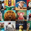 Eurographics - Funny Animals by L.Hefferna - 1000 Piece Jigsaw Puzzle Outlet
