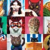 Eurographics - Funny Cats - 1000 Piece Jigsaw Puzzle Sale