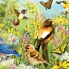 Eurographics - Garden Birds Panoramic by Greg Giordano - 1000 Piece Jigsaw Puzzle Discount