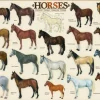 Eurographics - Horses - 1000 Piece Jigsaw Puzzle Fashion