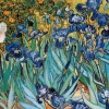 Eurographics - Irises by Vincent van Gogh - 1000 Piece Jigsaw Puzzle Sale