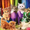 Eurographics - Kitten Pride - 1000 Piece Jigsaw Puzzle Best