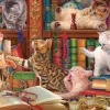 Eurographics - Library Kittens - 1000 Piece Sale