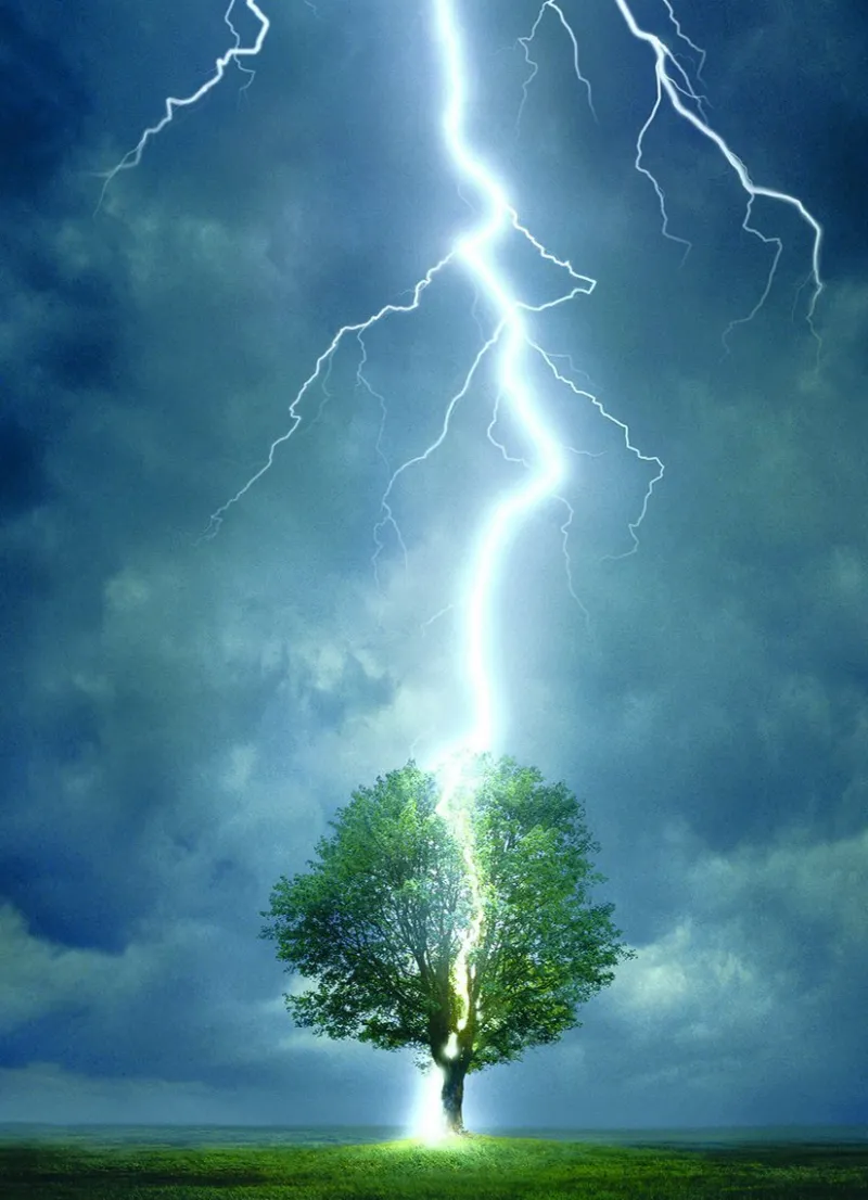 Eurographics - Lightning Striking a Tree - 1000 Piece Jigsaw Puzzle Outlet
