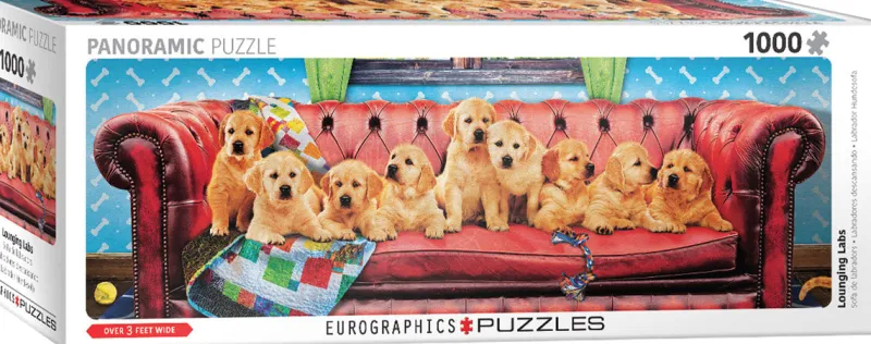 Eurographics - Lounging Labs - 1000 Panoramic pieces Online