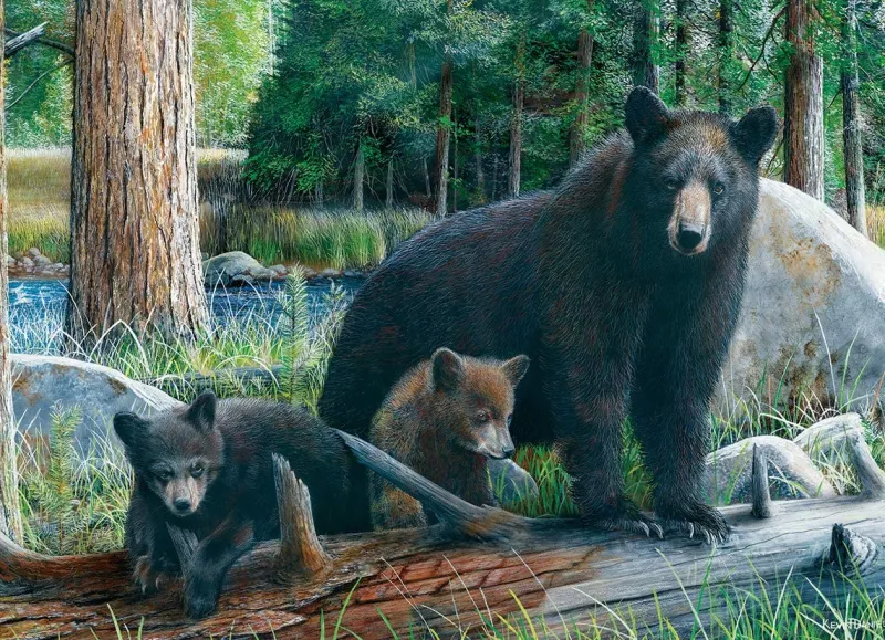 Eurographics - New Discoveries - 1000 piece jigsaw puzzle Online