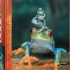 Eurographics - Red-Eyed Tree Frog - 1000 Piece Jigsaw Puzzle Discount