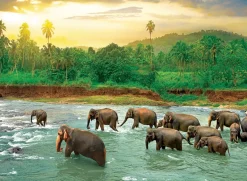Eurographics - Save our Planet Collection - Rain Forest - 1000 Piece Jigsaw Puzzle New