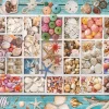 Eurographics - Seashell Collection - 1000 Piece Jigsaw Puzzle Clearance