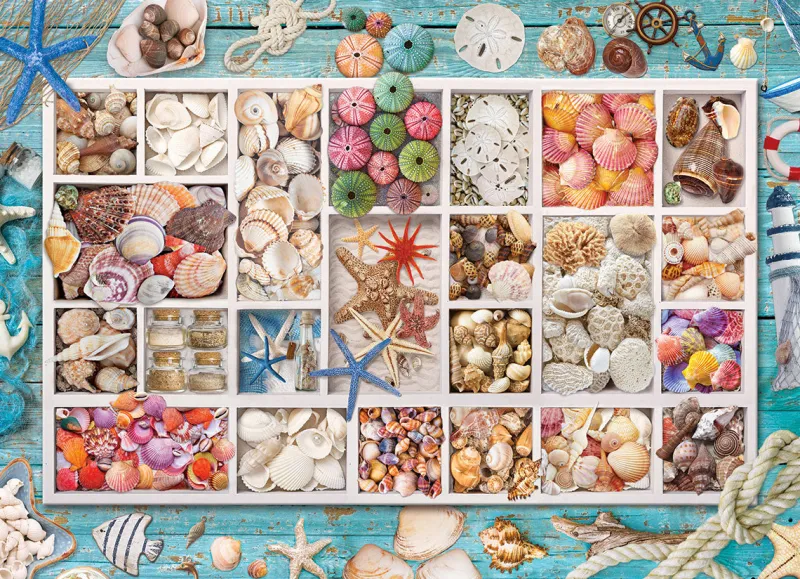 Eurographics - Seashell Collection - 1000 Piece Jigsaw Puzzle Clearance