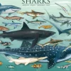 Eurographics - Shraks - 1000 Piece Jigsaw Puzzle Clearance