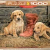 Eurographics - Something Old Something New (Special Offer) - 1000 pieces Best